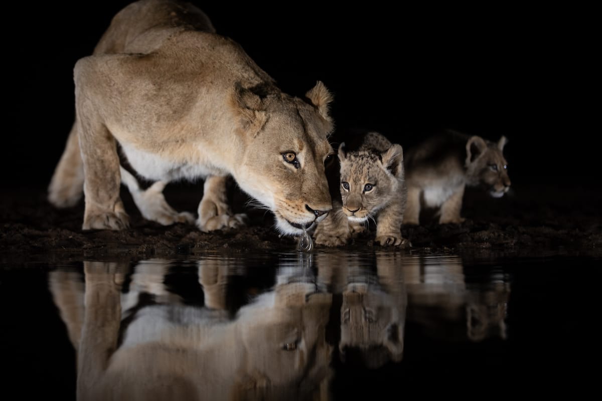 SOUTH AFRICA — Paul Brower