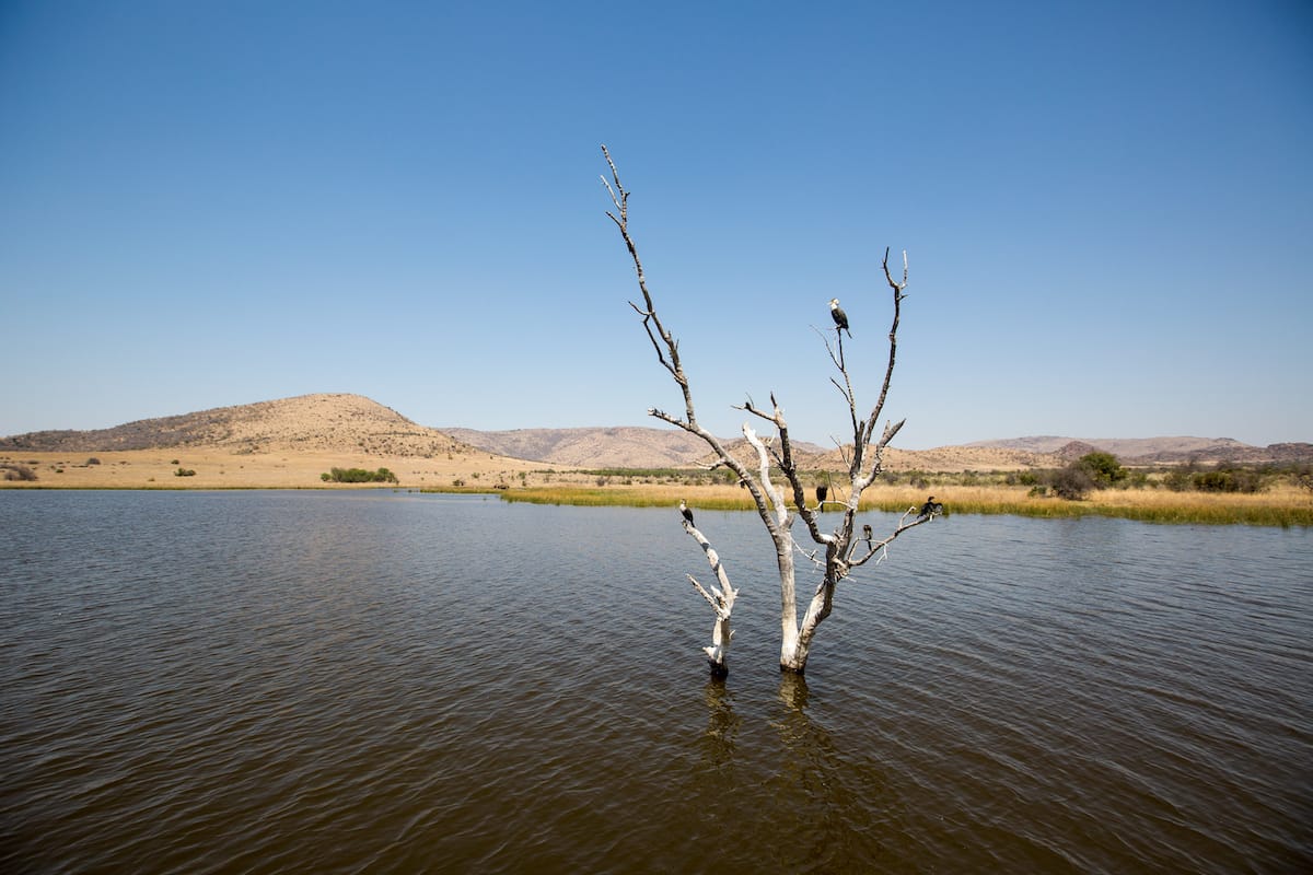 SOUTH AFRICA