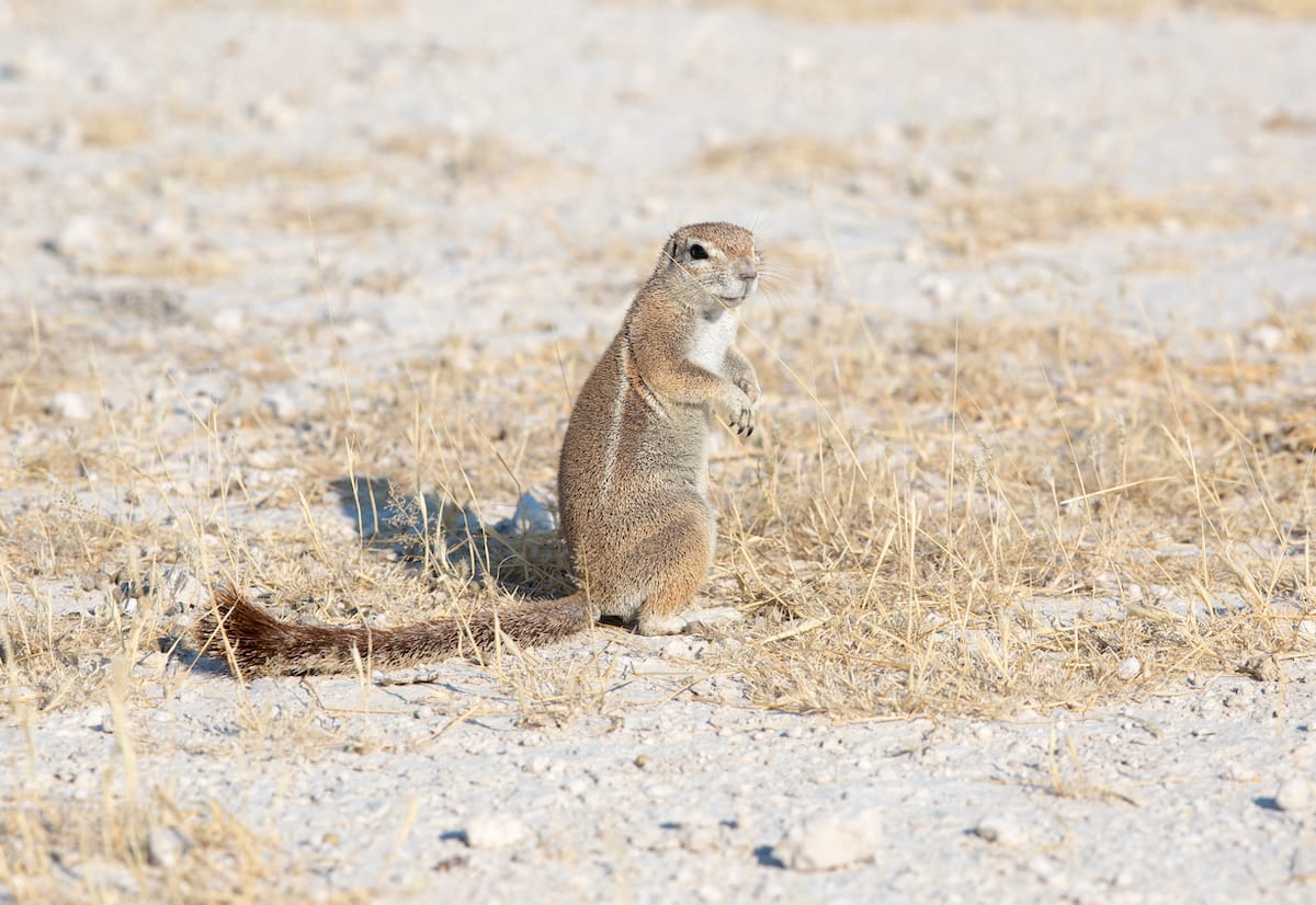 NAMIBIA