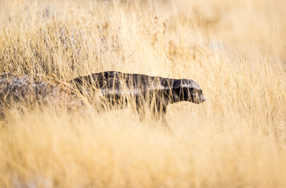 NAMIBIA