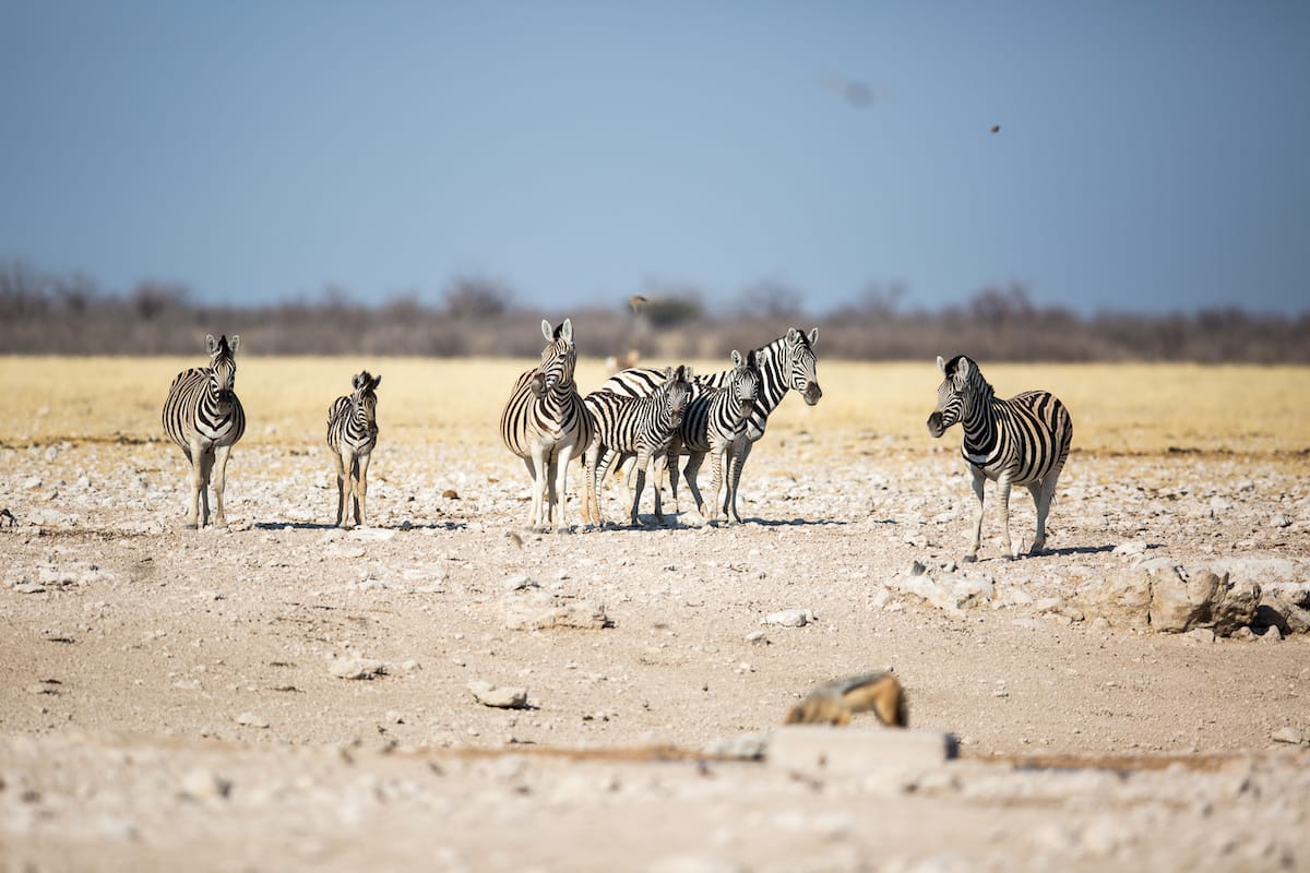 NAMIBIA