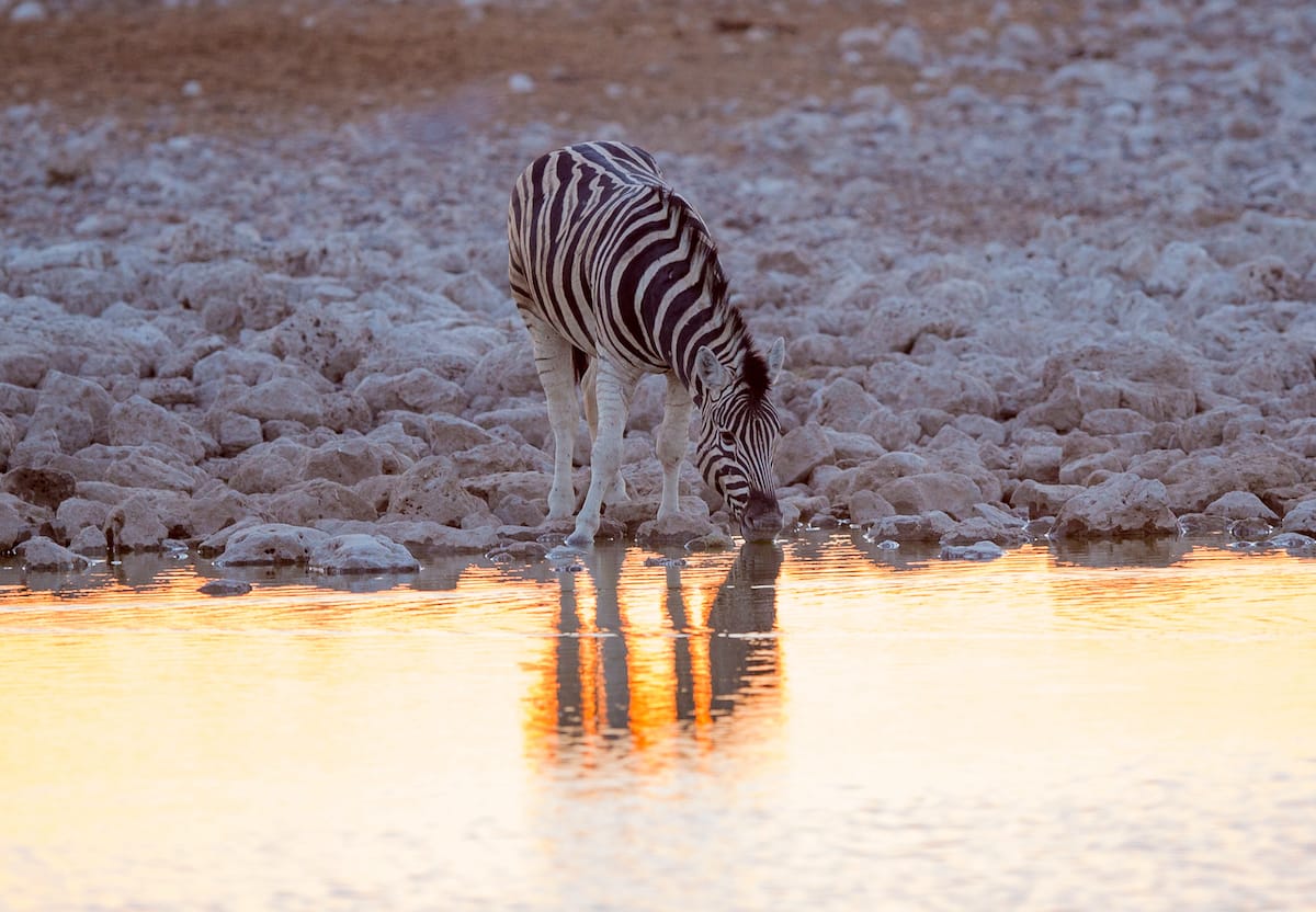 NAMIBIA