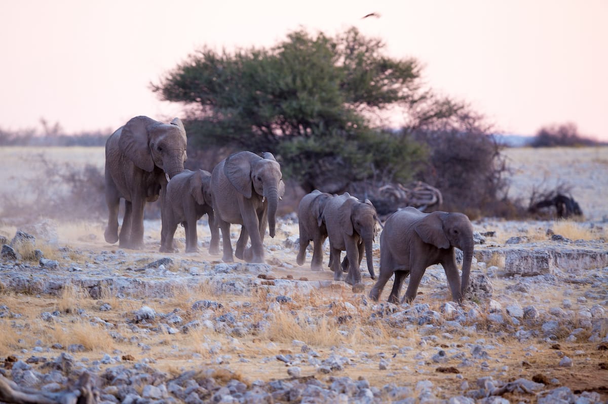 NAMIBIA