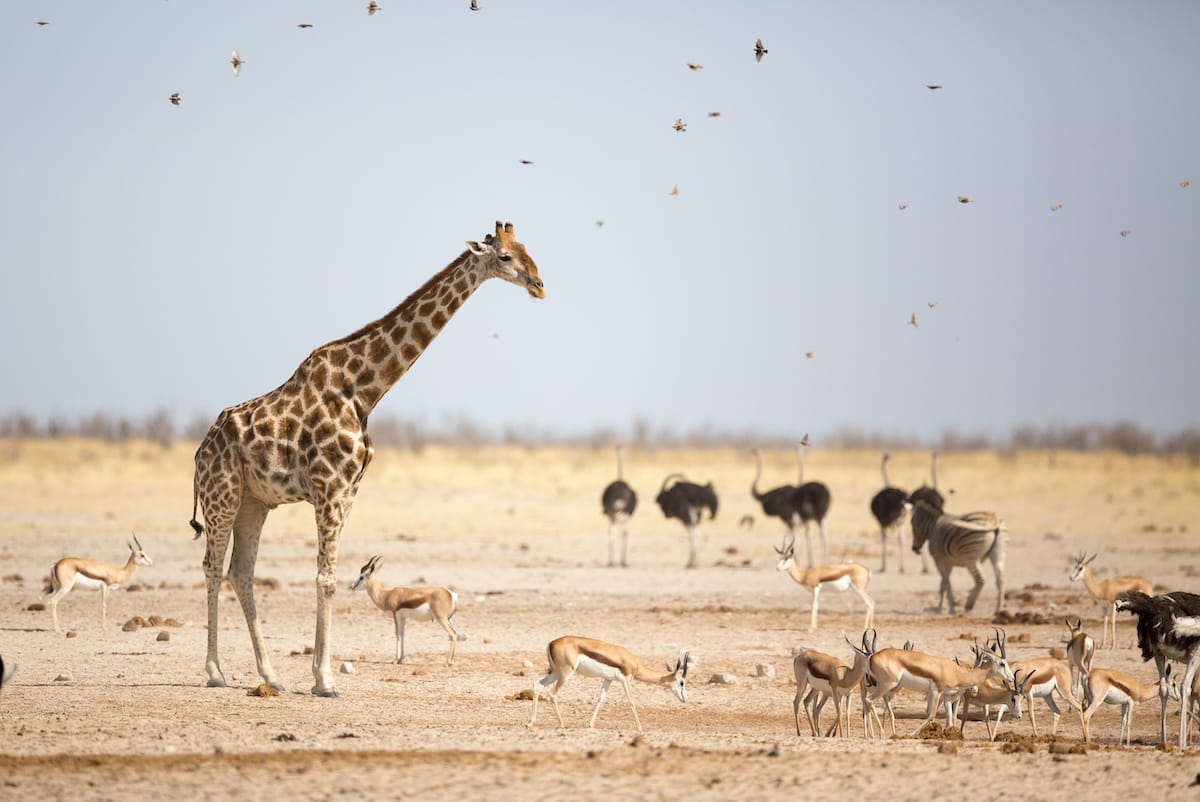 NAMIBIA