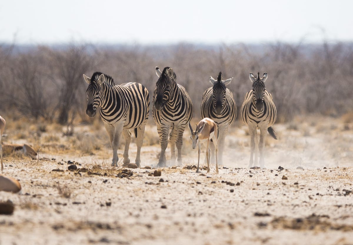 NAMIBIA