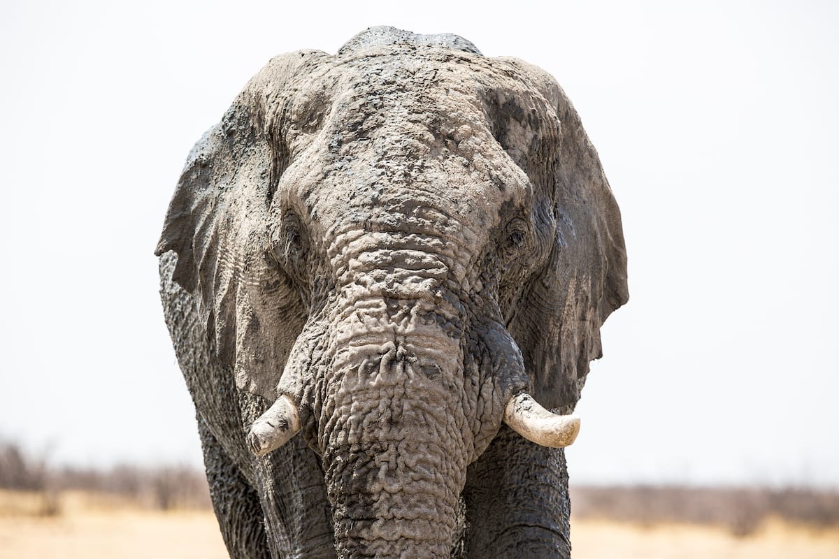 NAMIBIA