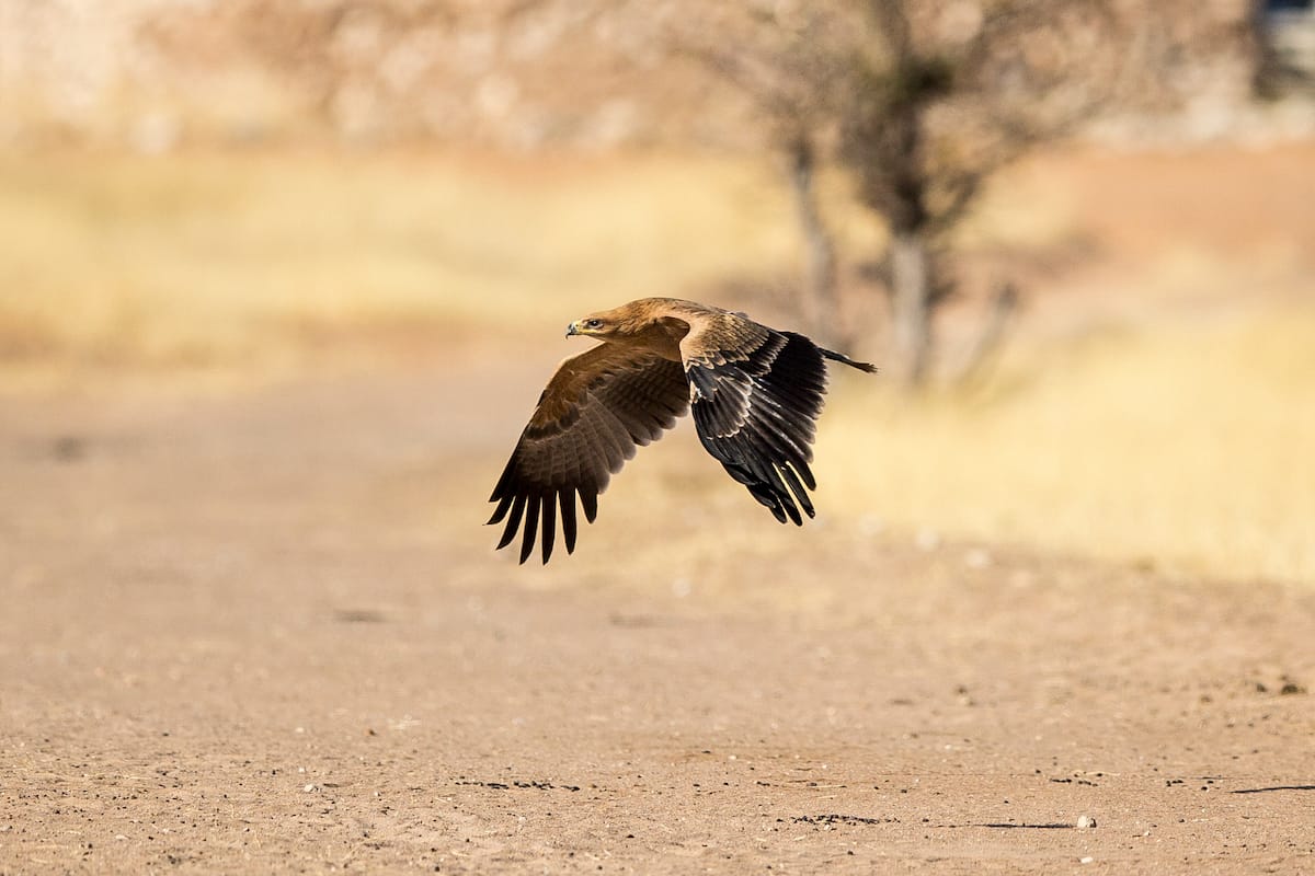 NAMIBIA