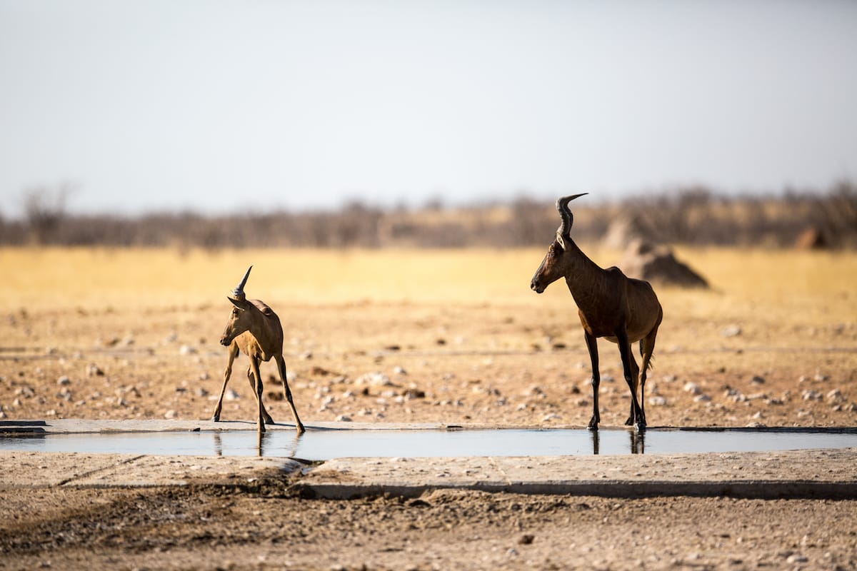 NAMIBIA