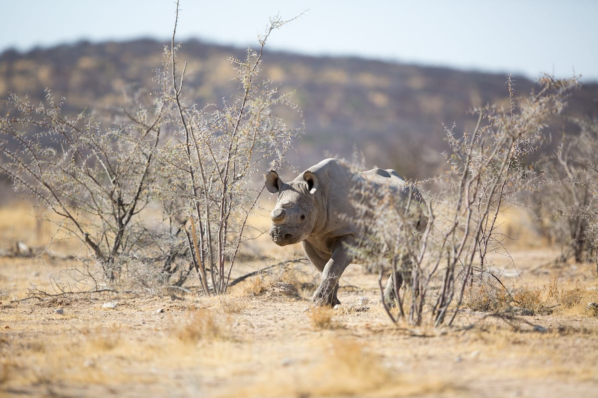 NAMIBIA