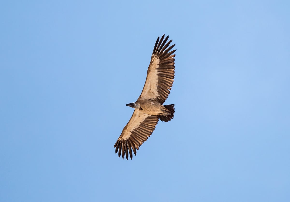 NAMIBIA