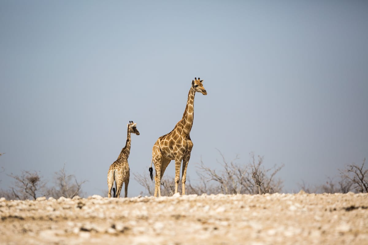 NAMIBIA