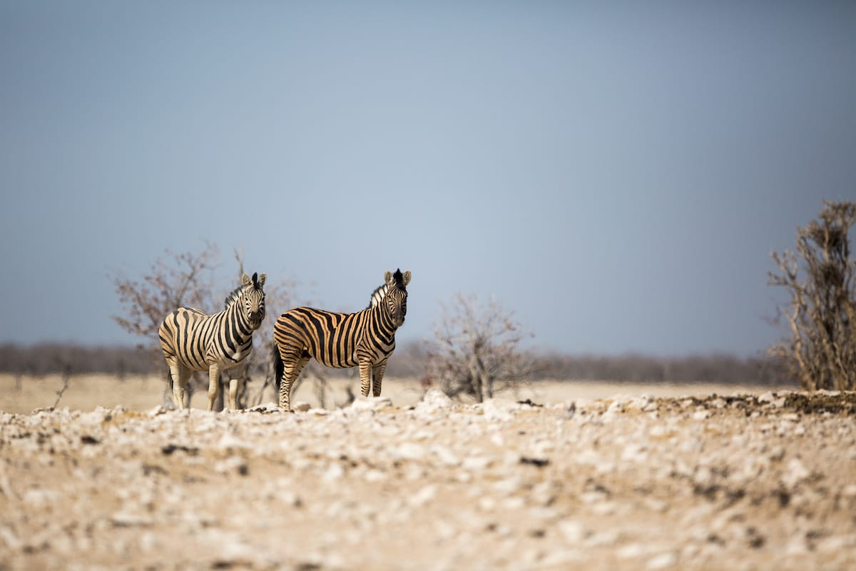 NAMIBIA