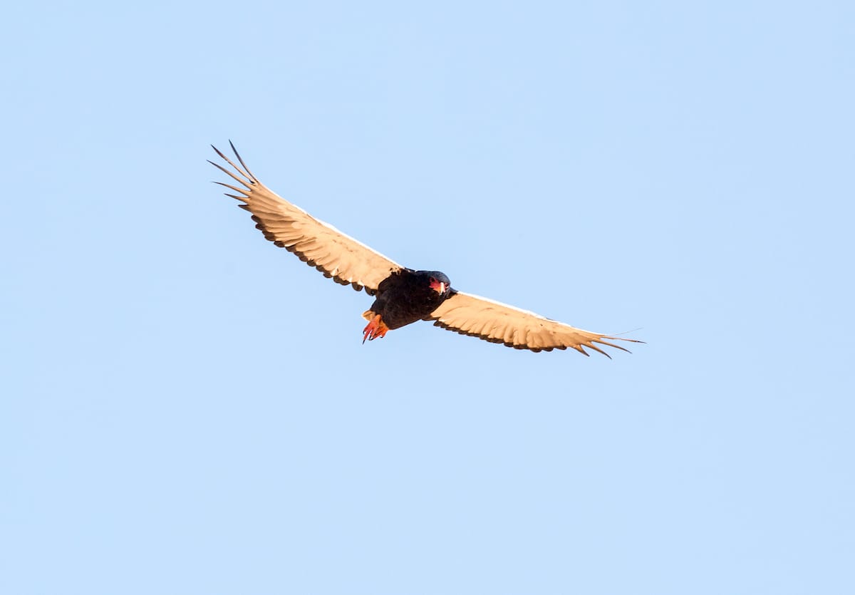 NAMIBIA