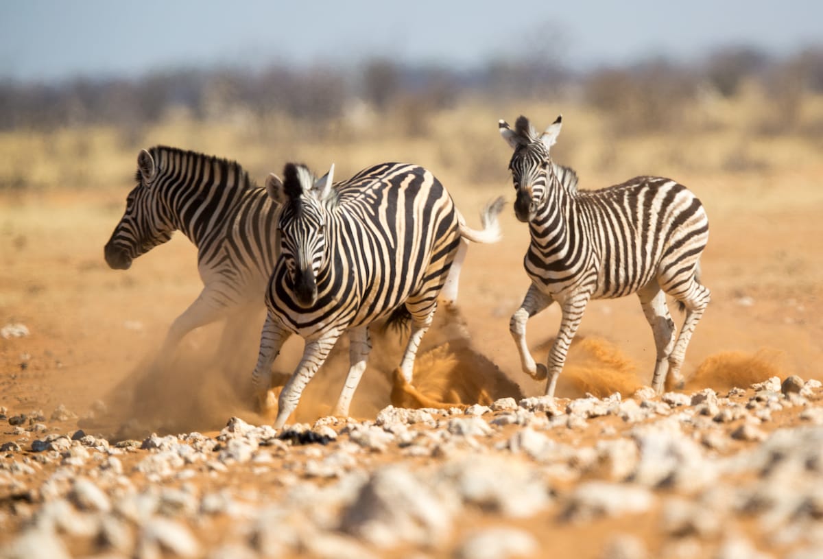 NAMIBIA