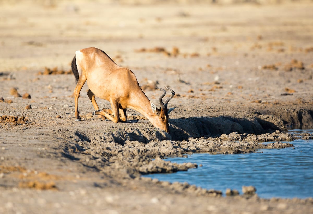 NAMIBIA