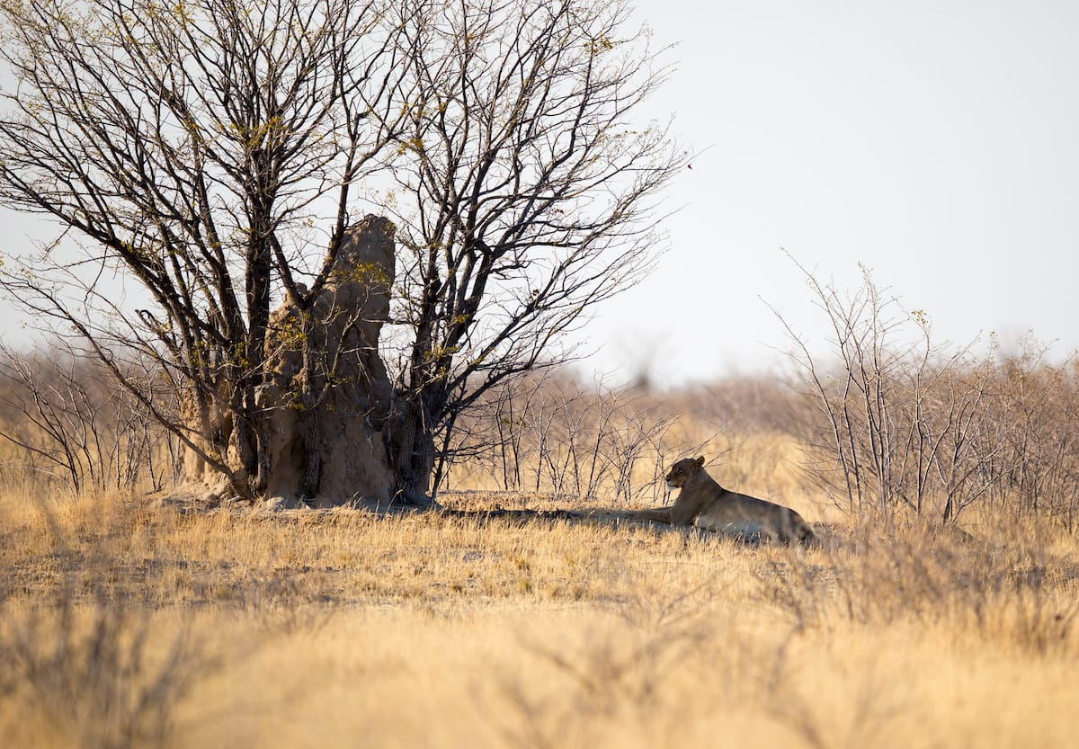 NAMIBIA