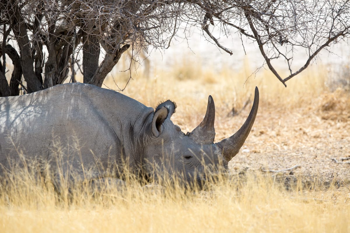 NAMIBIA
