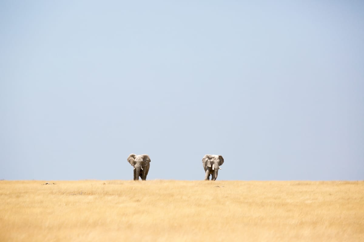 NAMIBIA