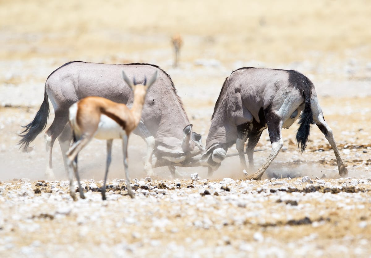 NAMIBIA
