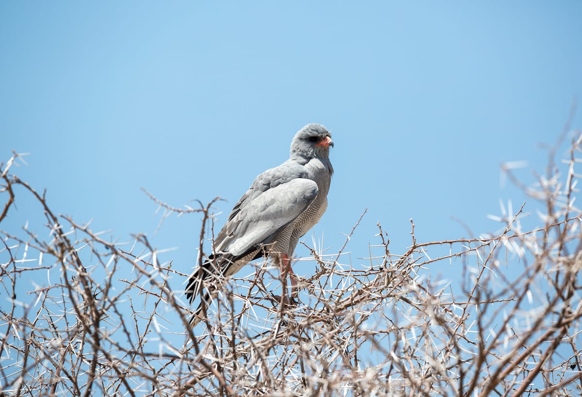 NAMIBIA