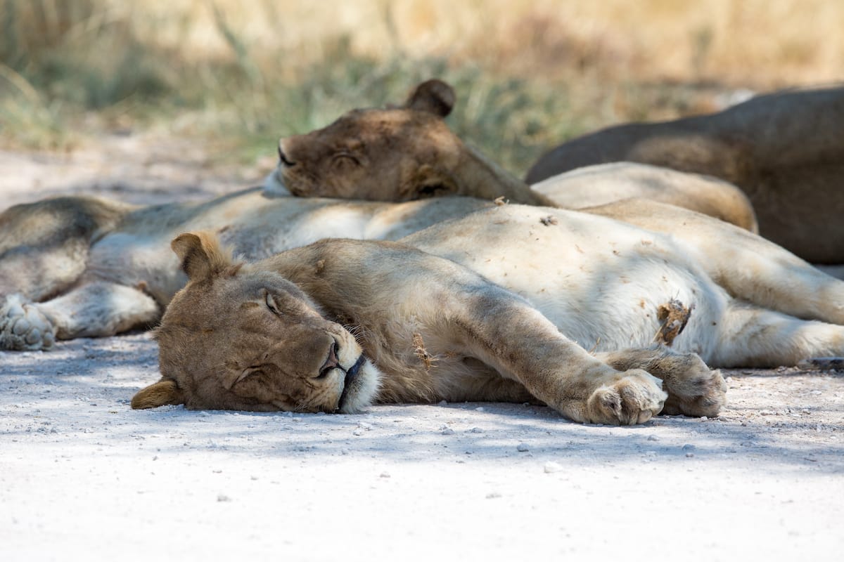 NAMIBIA