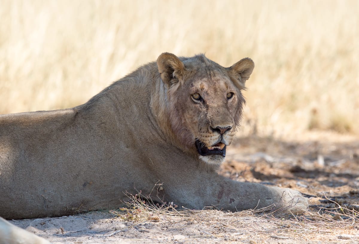 NAMIBIA