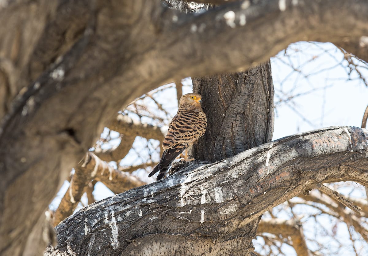 NAMIBIA