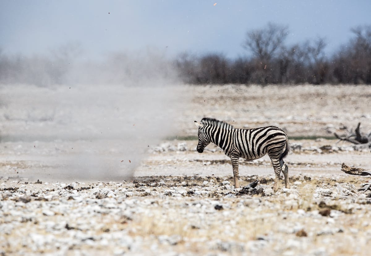 NAMIBIA
