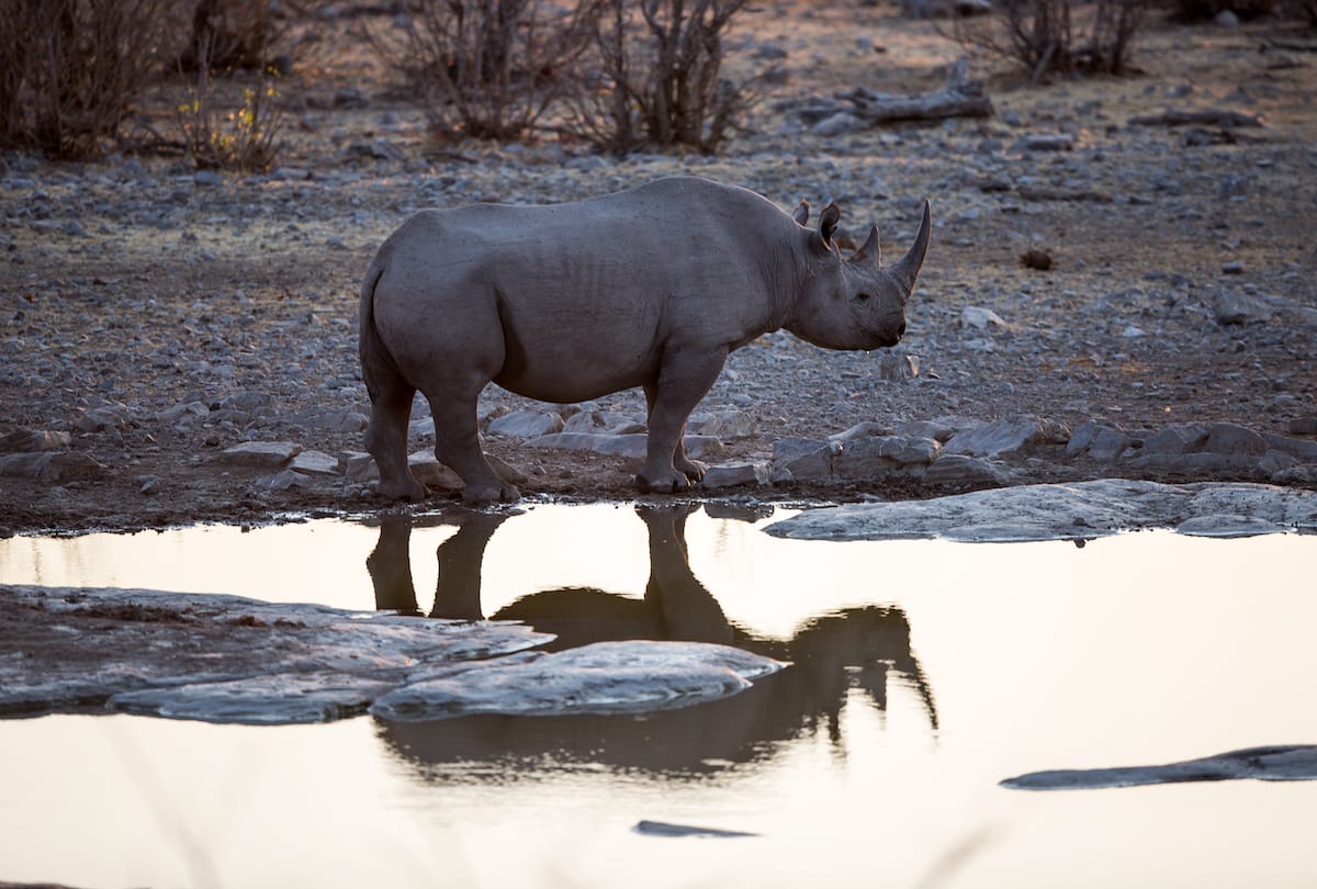 NAMIBIA