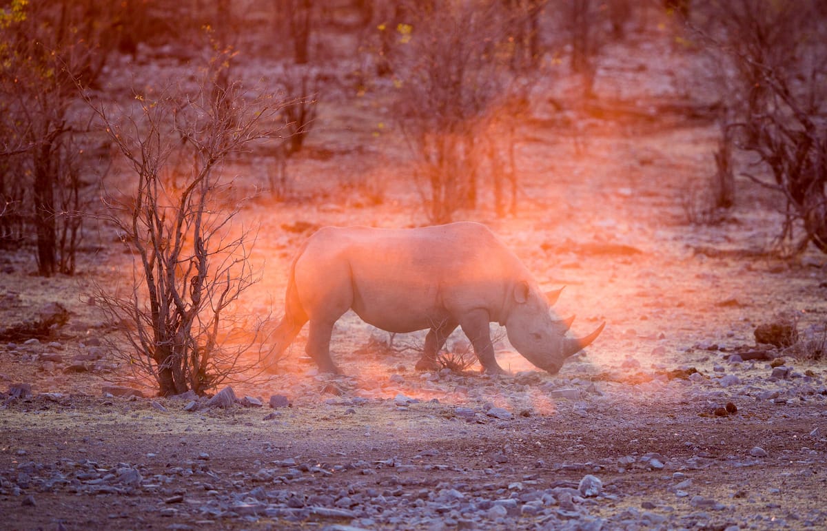 NAMIBIA