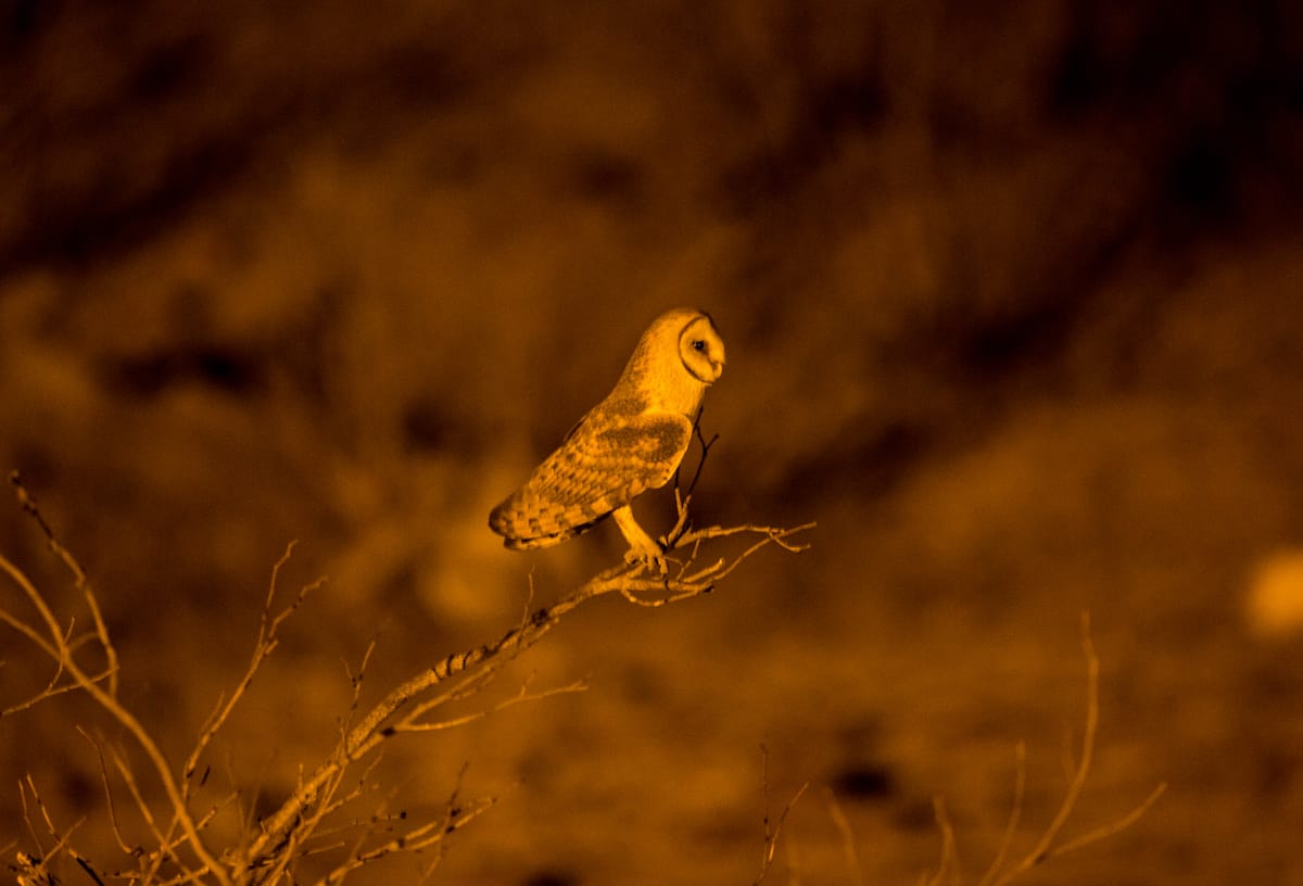 NAMIBIA