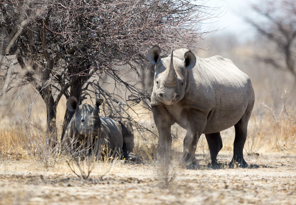 NAMIBIA