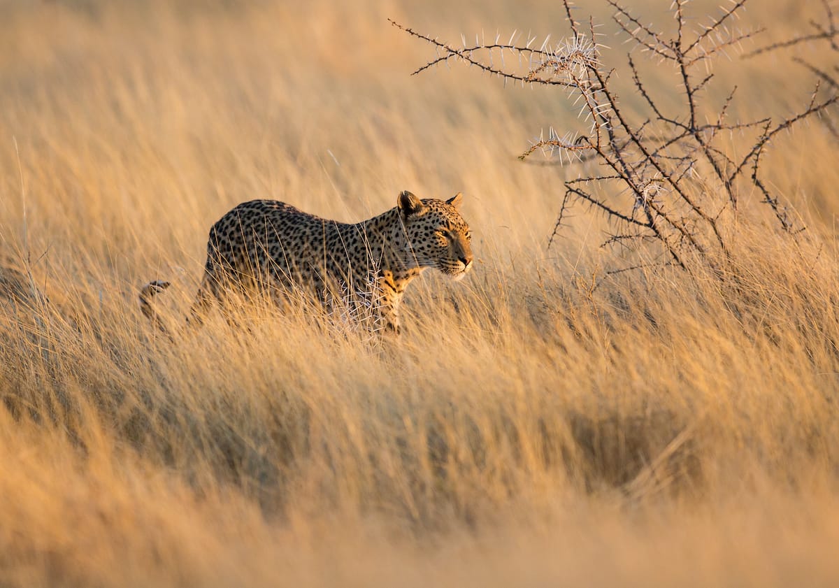NAMIBIA