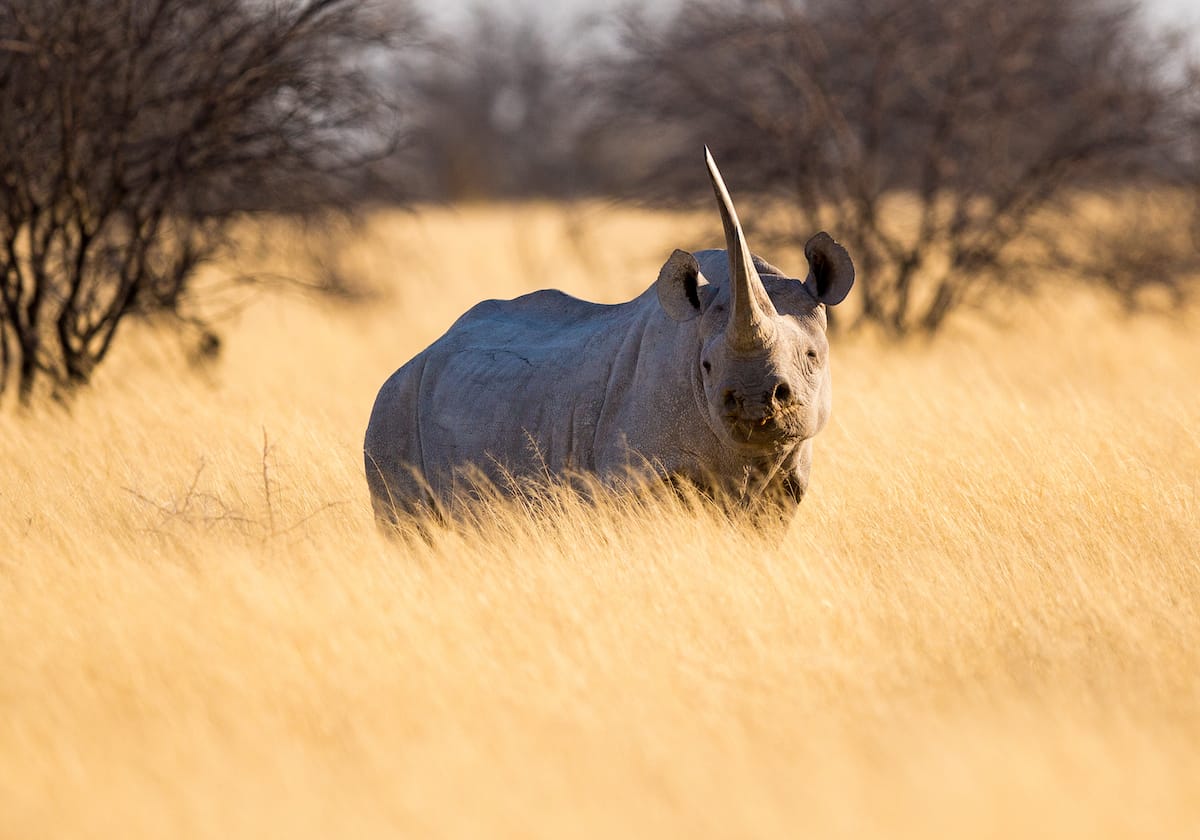 NAMIBIA