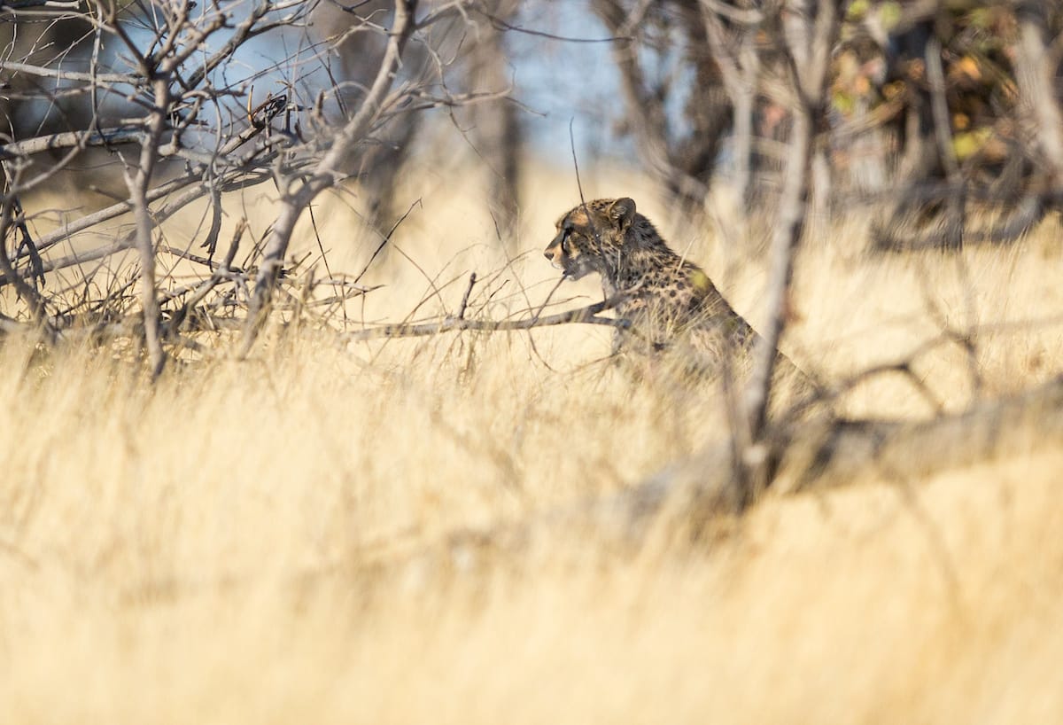 NAMIBIA
