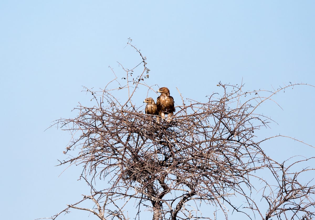 NAMIBIA