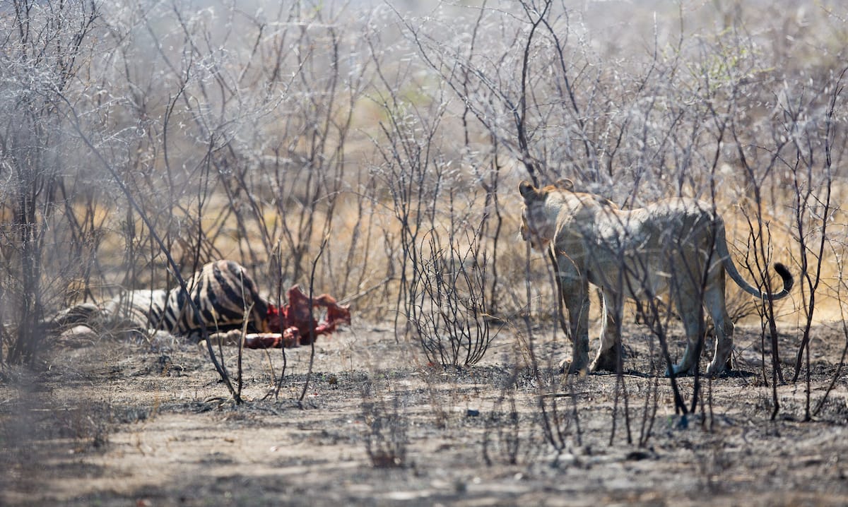 NAMIBIA
