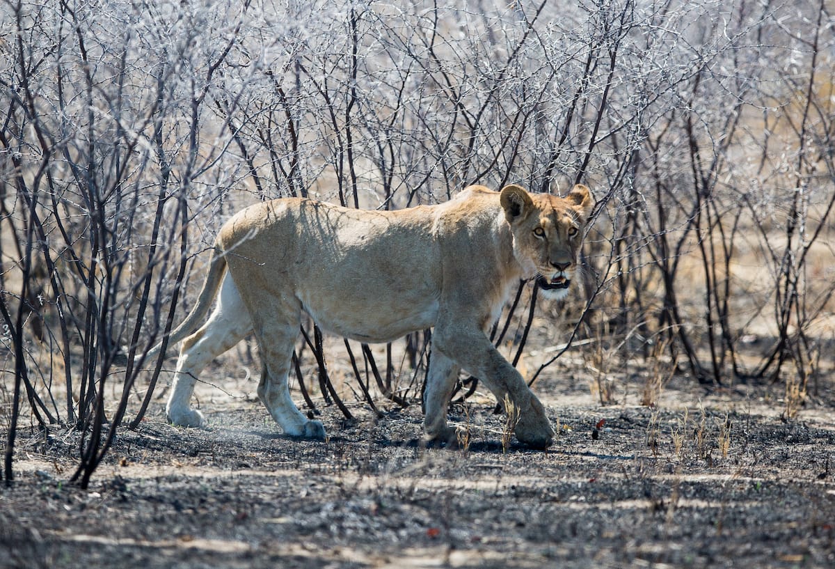 NAMIBIA