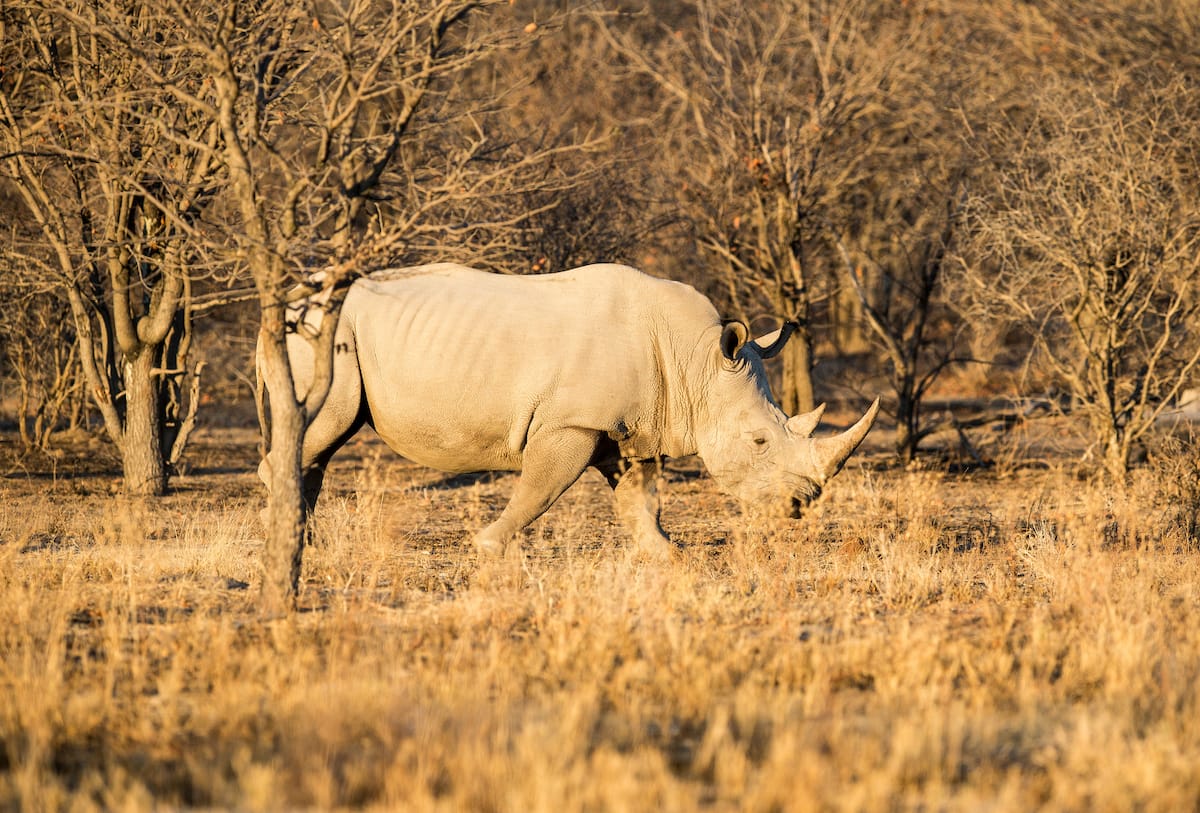 NAMIBIA