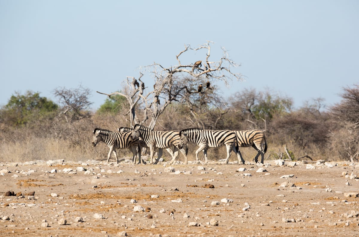 NAMIBIA