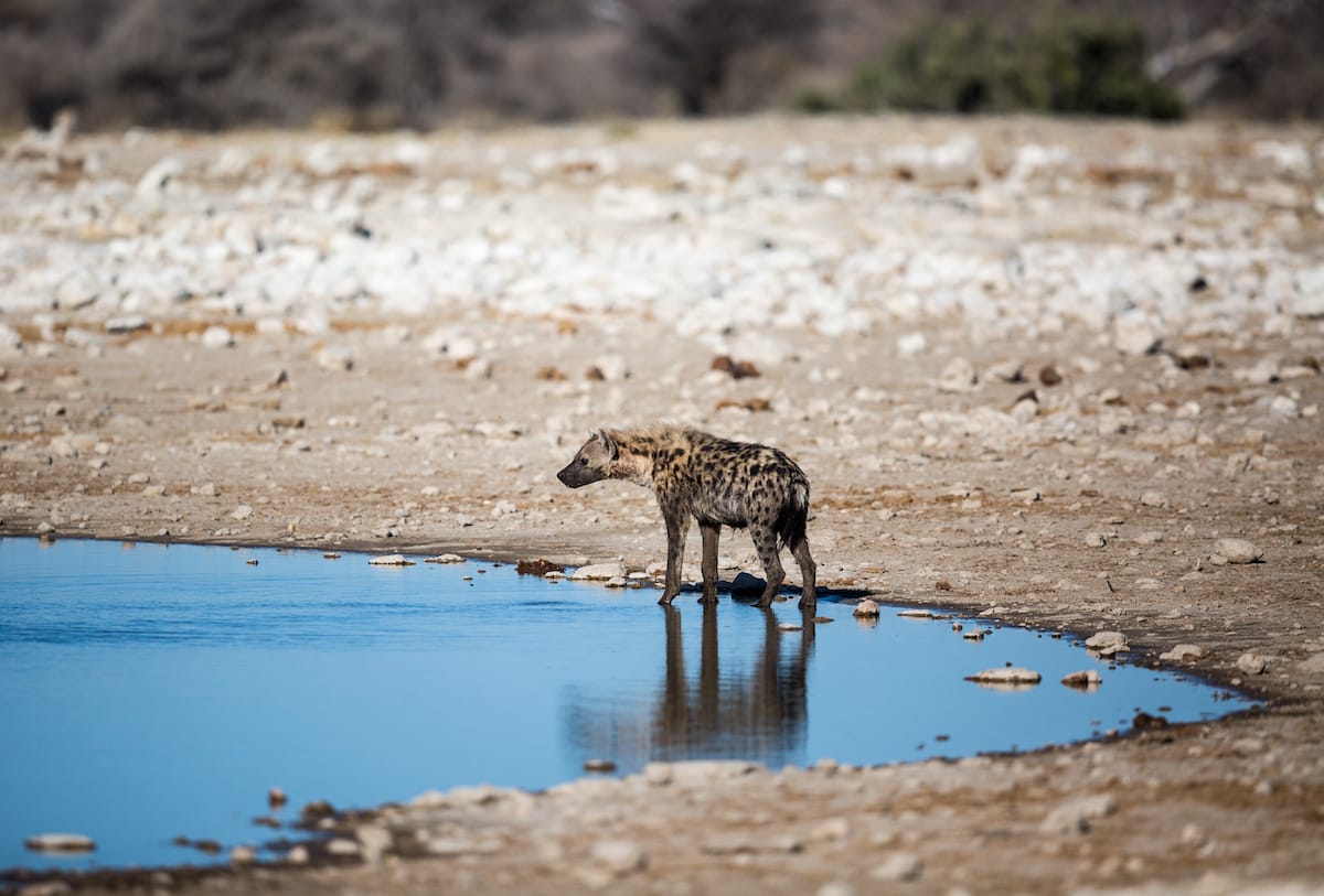 NAMIBIA