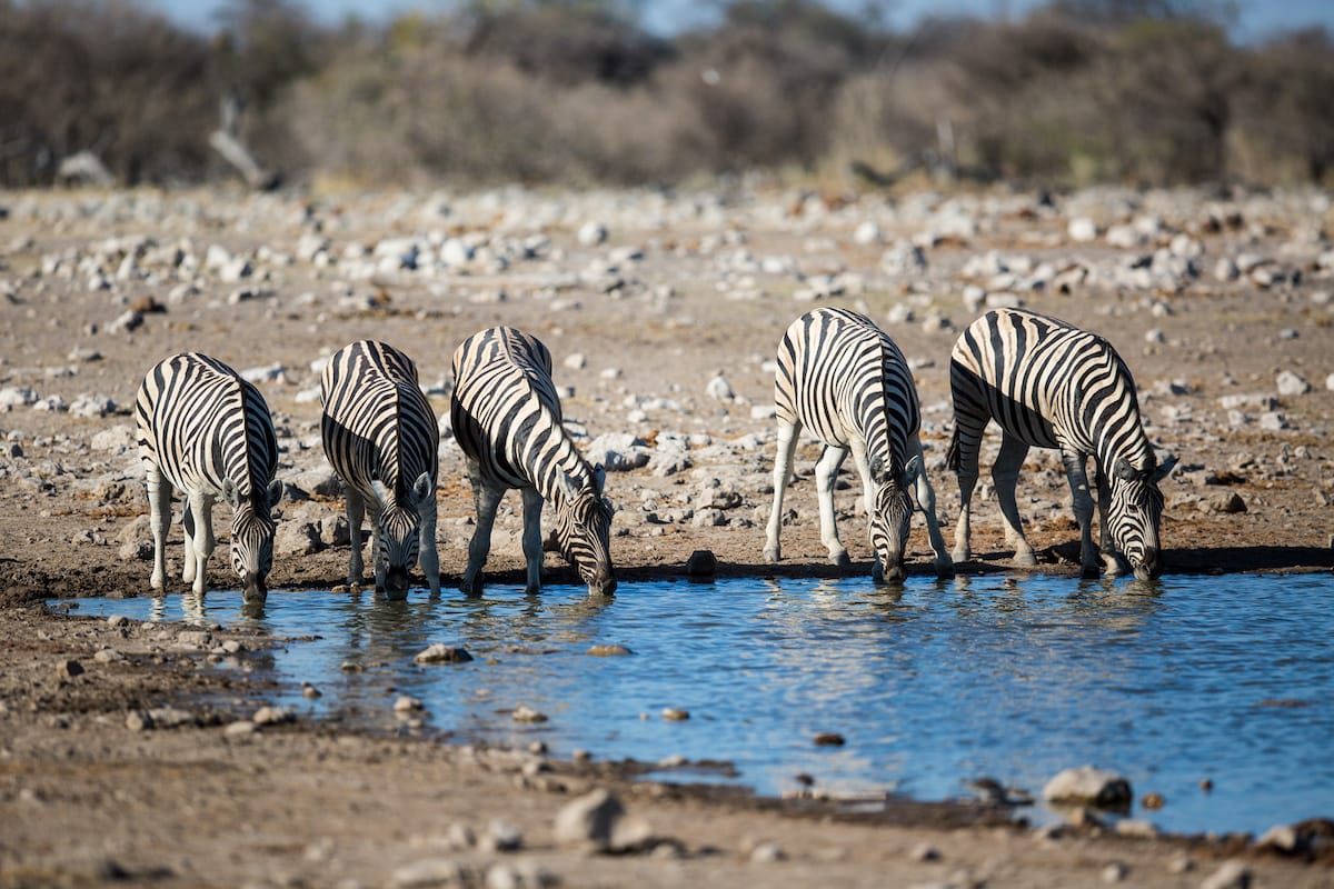NAMIBIA