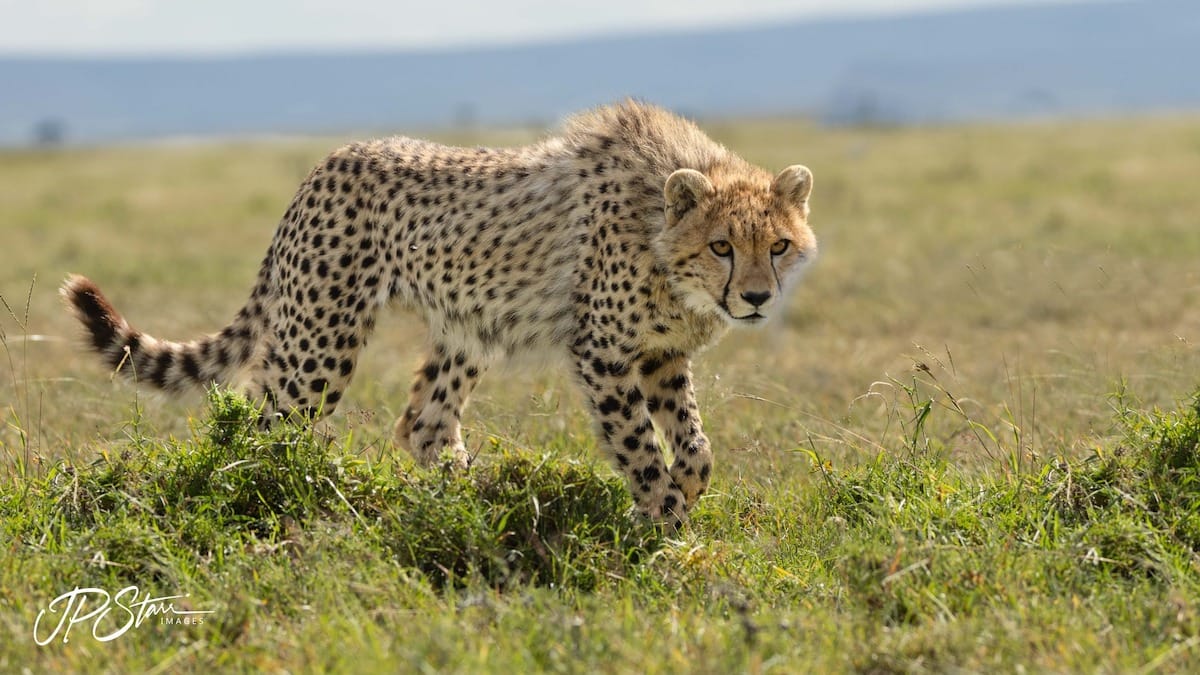 KENYA — John Starr