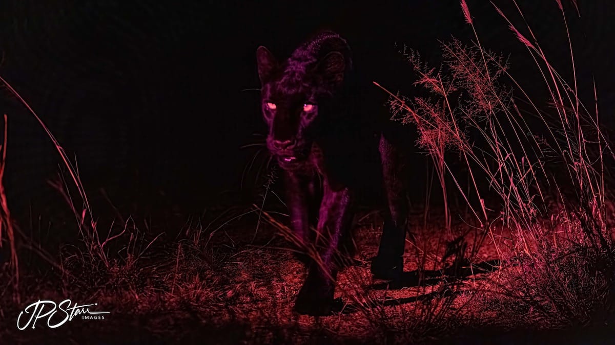 KENYA — John Starr