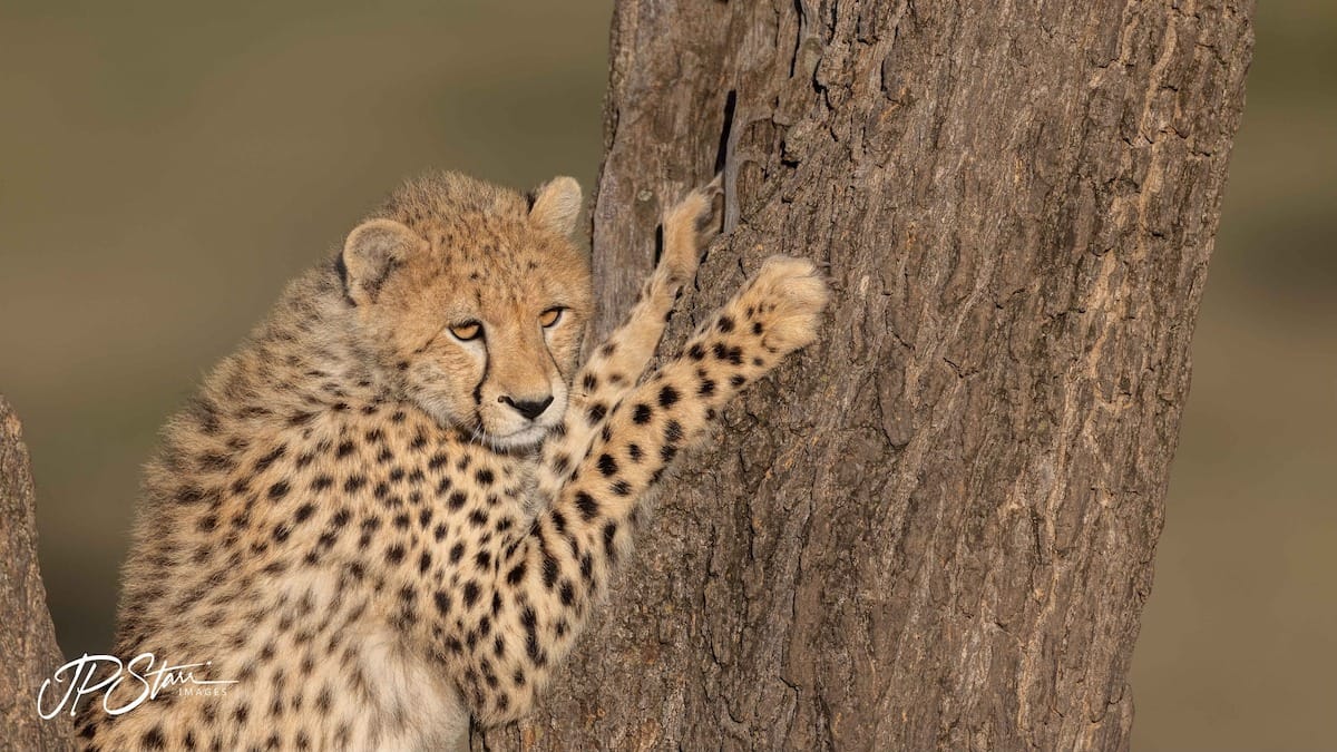 KENYA — John Starr