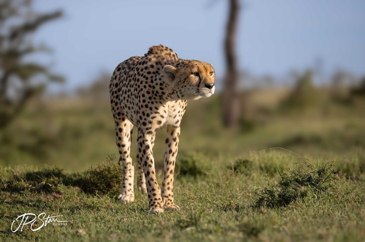 KENYA — John Starr