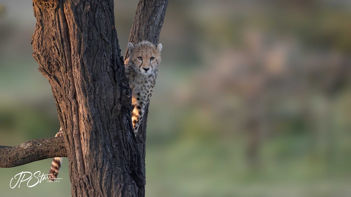 KENYA — John Starr