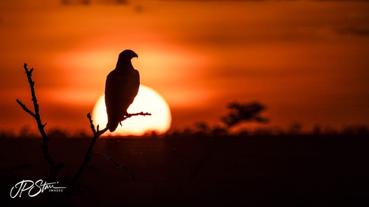 KENYA — John Starr