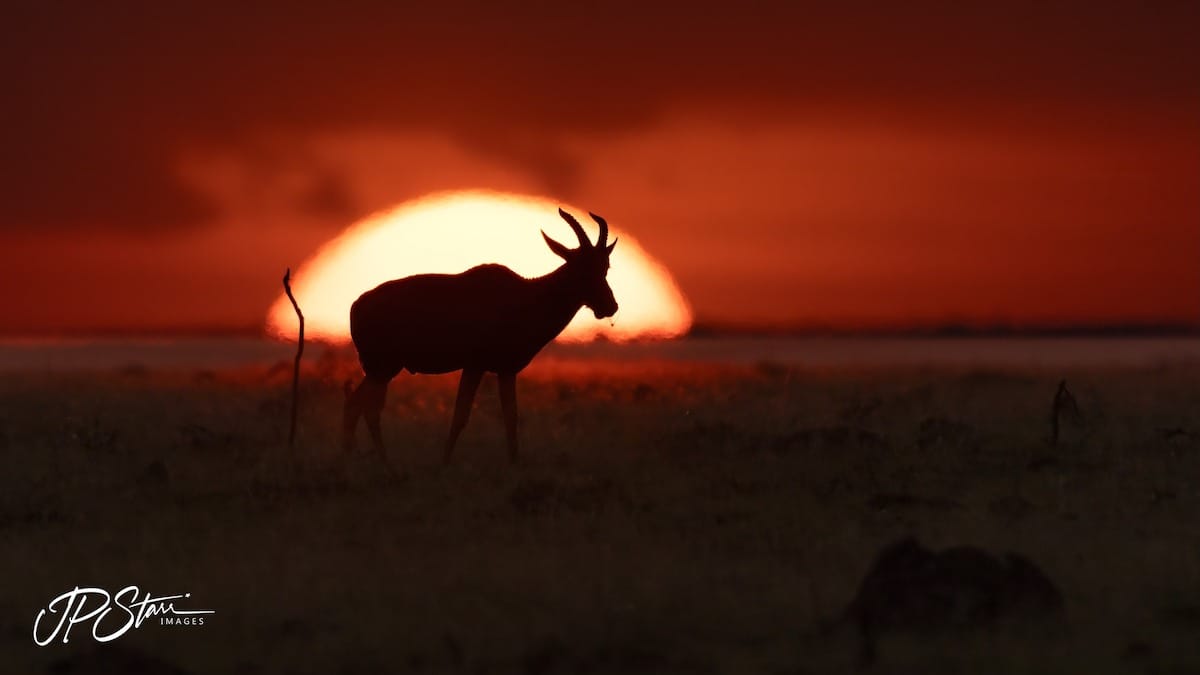 KENYA — John Starr