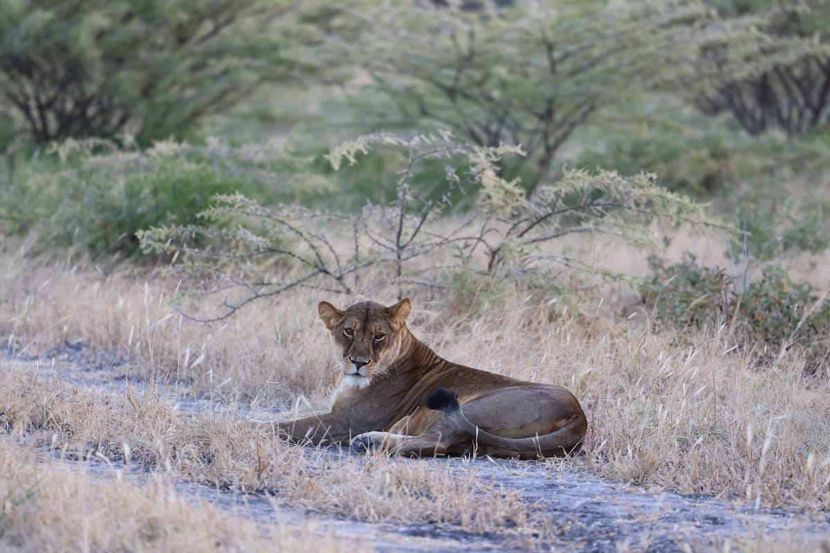 TANZANIA